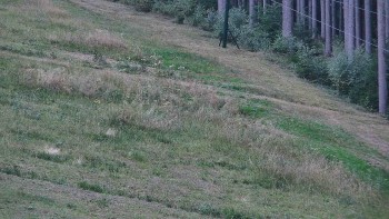 Ski areál U Sachovy studánky