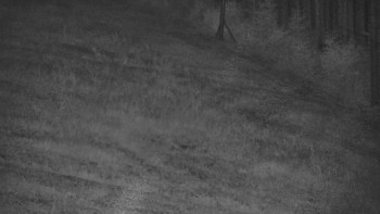 Ski areál U Sachovy studánky