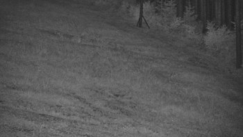 Ski areál U Sachovy studánky