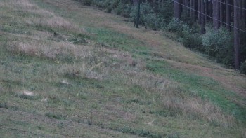 Ski areál U Sachovy studánky