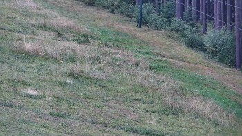 Ski areál U Sachovy studánky