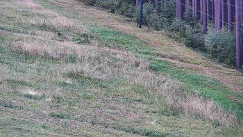 Ski areál U Sachovy studánky