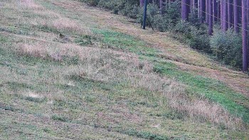 Ski areál U Sachovy studánky