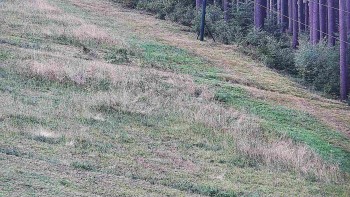 Ski areál U Sachovy studánky
