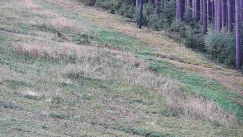 Ski areál U Sachovy studánky