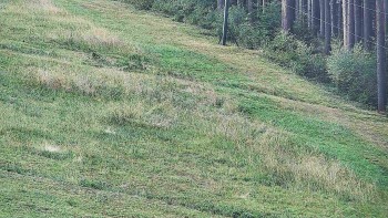 Ski areál U Sachovy studánky