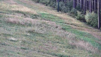 Ski areál U Sachovy studánky