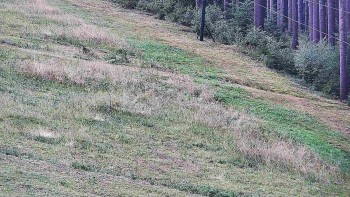 Ski areál U Sachovy studánky
