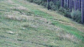 Ski areál U Sachovy studánky