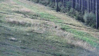 Ski areál U Sachovy studánky