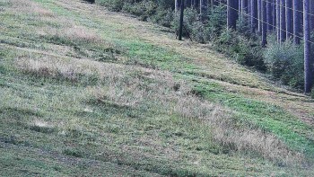 Ski areál U Sachovy studánky