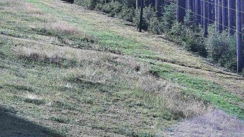Ski areál U Sachovy studánky