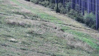 Ski areál U Sachovy studánky