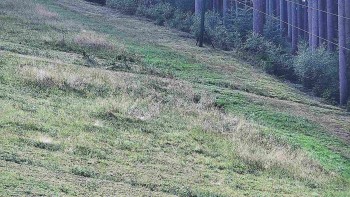 Ski areál U Sachovy studánky