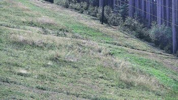 Ski areál U Sachovy studánky