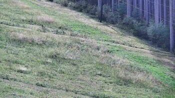 Ski areál U Sachovy studánky