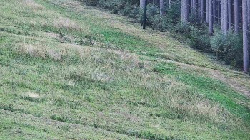 Ski areál U Sachovy studánky