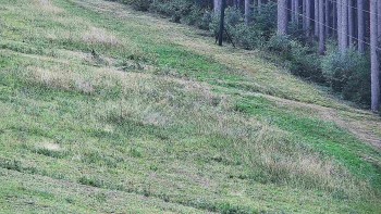 Ski areál U Sachovy studánky