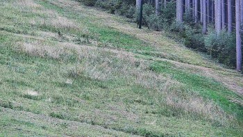 Ski areál U Sachovy studánky