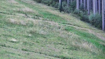 Ski areál U Sachovy studánky