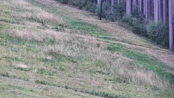 Ski areál U Sachovy studánky