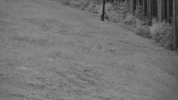 Ski areál U Sachovy studánky