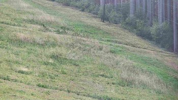Ski areál U Sachovy studánky