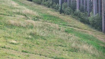 Ski areál U Sachovy studánky
