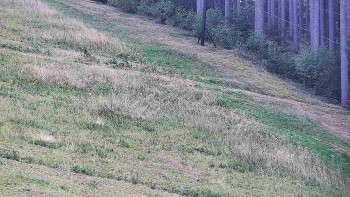 Ski areál U Sachovy studánky