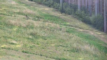Ski areál U Sachovy studánky