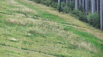 Ski areál U Sachovy studánky