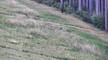 Ski areál U Sachovy studánky