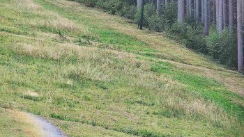 Ski areál U Sachovy studánky