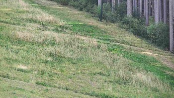 Ski areál U Sachovy studánky