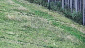 Ski areál U Sachovy studánky