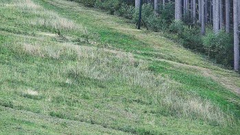 Ski areál U Sachovy studánky