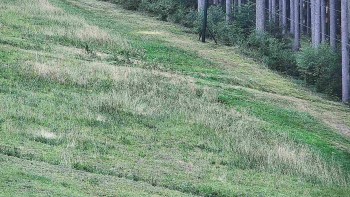 Ski areál U Sachovy studánky