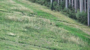 Ski areál U Sachovy studánky