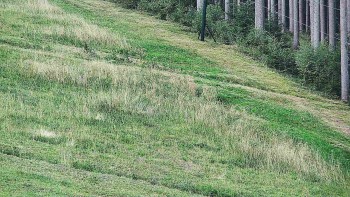 Ski areál U Sachovy studánky