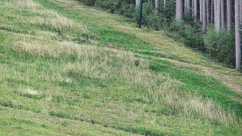 Ski areál U Sachovy studánky