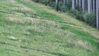Ski areál U Sachovy studánky
