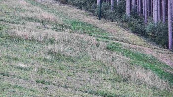 Ski areál U Sachovy studánky