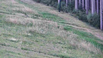 Ski areál U Sachovy studánky