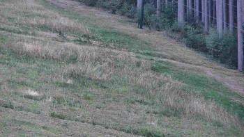Ski areál U Sachovy studánky