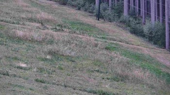 Ski areál U Sachovy studánky