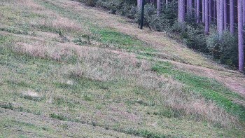 Ski areál U Sachovy studánky