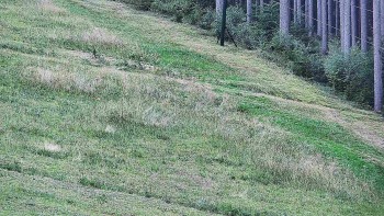 Ski areál U Sachovy studánky