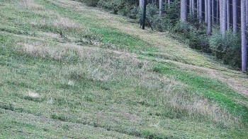Ski areál U Sachovy studánky
