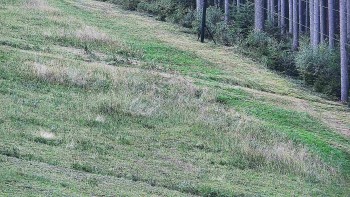 Ski areál U Sachovy studánky