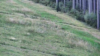 Ski areál U Sachovy studánky